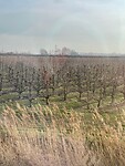 IMG_7288