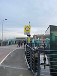 IMG_7294