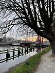 IMG_7295
