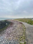IMG_7427