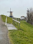 IMG_7440