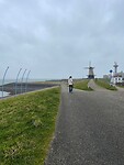 IMG_7442