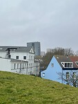 IMG_7466