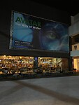 IMG_7488