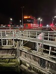 IMG_7494