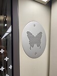 IMG_7497