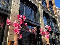 IMG_7834