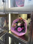 IMG_7847