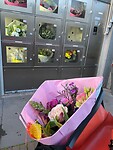 IMG_7849