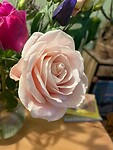 IMG_7853