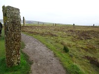 DSC00767