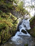 DSC00942