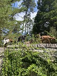 IMG_7193