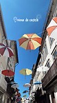 IMG_7243