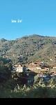 IMG_7400