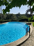 IMG_7771