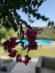 IMG_7770