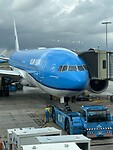 IMG_6551