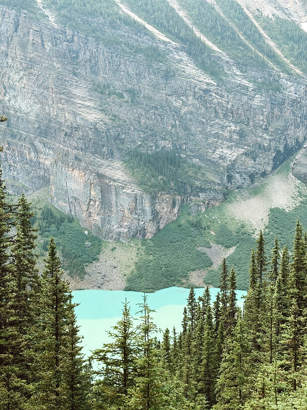 Tezza-0370