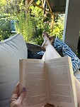 IMG_7193