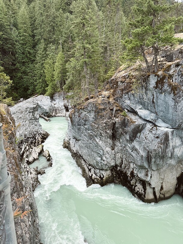 3c8a2e61-95e5-4daf-8936-aae63bf697d8