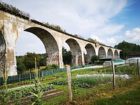 IMG_20230708_170955
