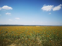 IMG_20230711_132941