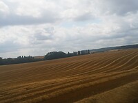 IMG_20230712_112109
