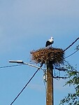 IMG_20230713_102446