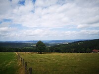 IMG_20230716_125847