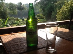 Why Heineken and no Stella?