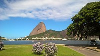 IMG_0312