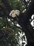 068AF737-1C1C-4AB0-B1C8-DF1E302EF63D