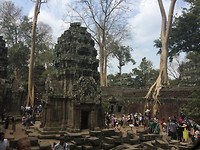 B6501E75-0273-4A8C-82B8-9A6388F96095