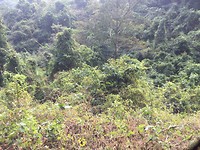 33107A54-D190-4085-840B-E8EBEA856931