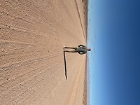 IMG_3324