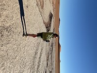 IMG_3316
