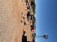 IMG_3279