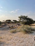 IMG_8704