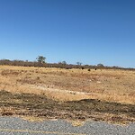 IMG_3437