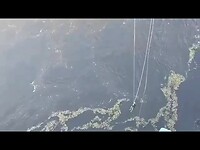 Jump