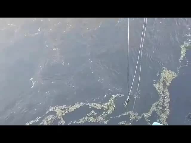 Jump