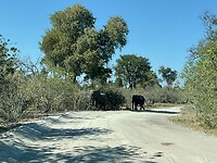 IMG_3456