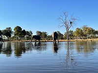 IMG_8877