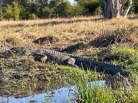 IMG_8866