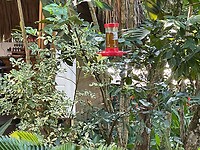 Find the bird