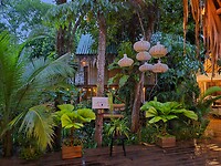 Laatste avond Rio Dulce, bakken regen