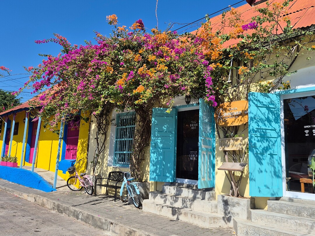 Flores