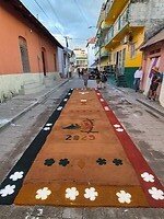 Flores