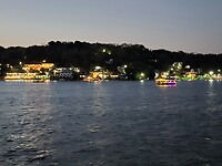 Flores at night